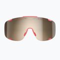 Fahrradbrille POC Devour ammolite coral translucent/clarity trail silver 7