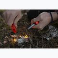 Primus Ignition Große Mandarinenflamme 4