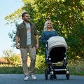 Herren Pinewood Everyday Travel grünes Hemd 3