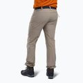 Herren Pinewood Finnveden Sports Leichte mottenbraune Trekkinghose 2