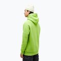 Sweatshrit Hoodie Herren Peak Performance Original Hood stand out green 2