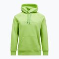 Sweatshrit Hoodie Herren Peak Performance Original Hood stand out green 3