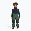 Kinder-Skiset Didriksons Skare pine green 10
