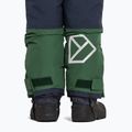 Kinder-Skiset Didriksons Skare pine green 13