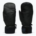 Skihandschuhe Peak Performance Leather Hipe Solarcore Insulated Mitten black