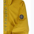 Snowboardjacke Herren Colourwear Signature Anorak yellow 3