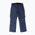 Herren Colourwear Flight navy Snowboard-Hose 10