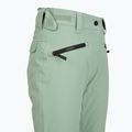 Snowboardhose Damen Colourwear Cork lt sage 4