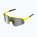 Tripoint 005 Viktoriasee transparent neongelb/rauchfarben Sonnenbrille 3