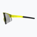 Tripoint 005 Viktoriasee transparent neongelb/rauchfarben Sonnenbrille 5