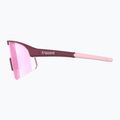 Tripoint 005 Lake Victoria matt bordeaux/braun/rosa Multisonnenbrille 3