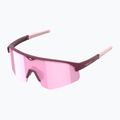 Tripoint 005 Lake Victoria matt bordeaux/braun/rosa Multisonnenbrille 5