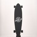 Fish Skateboards Pixie Longboard blau LONG-PIX-SIL-BLA 9