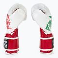 Boxhandschuhe Cleto Reyes Velcro SPaarring red/white green red 4