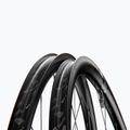 Fahrrad Hinterrad DT Swiss AR 1600 SP 700C CL 30 12/142 ASL11 black 3