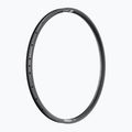 Fahrradfelge DT Swiss U 663 29 30 MM DB VI 36 black