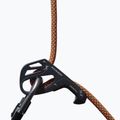 MAMMUT Kletterseil 9.5 Crag Dry orange 4