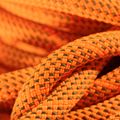 MAMMUT Kletterseil 9.8 Crag Dry orange 4