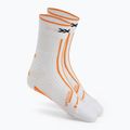 Laufschuhe Schuhe X-Bionic Terraskin X00/C x weiß/x schwarz 8