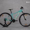 Mountainbike Damen Kellys Vanity 1 29" grün Vanity 1 29" 72263 15