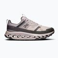 Herren Schuhe On Running Cloudhorizon Waterproof Nebel/Dorn