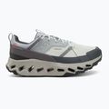 Herren Schuhe On Cloudhorizon Waterproof Gletscher/Legierung 2
