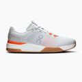 Herren Tennisschuhe On Running The Roger Advantage Pro glacier/weiß