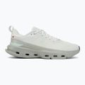 Herren-Trainingsschuhe On Cloudpulse Next iceberg/tin 2