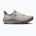 Herren-Trekkingschuhe On Running Cloudhorizon 2 pearl/fog