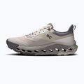 Herren-Trekkingschuhe On Cloudhorizon 2 pearl/fog 9