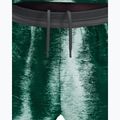 Herren-Laufshorts On Performance Terra cove/kaitoke 6