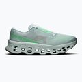 Herren-Laufschuhe On Cloudmonster 3 brook/flurry