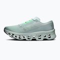 Herren-Laufschuhe On Cloudmonster 3 brook/flurry 2