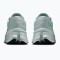 Herren-Laufschuhe On Cloudmonster 3 brook/flurry 4