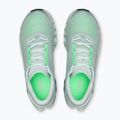 Herren-Laufschuhe On Cloudmonster 3 brook/flurry 6