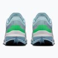 Herren-Laufschuhe On Cloudflow 5 flurry/wash 4