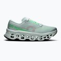 Laufschuhe für Damen On Cloudmonster 3 brook/flurry
