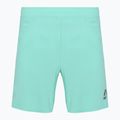 Laufshorts Herren SCOTT Endurance LT miami green