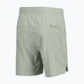 Herren-Laufshorts SCOTT Endurance LT spray grey 2