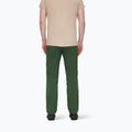 Mammut Runbold woods Herren-Trekkinghose 3
