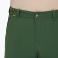 Mammut Runbold woods Herren-Trekkinghose 5
