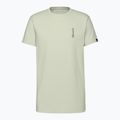Mammut Herren-T-Shirt Massone Quickdraw Silber Salbei 4