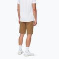 Mammut Runbold IV claystone Herren-Trekking-Shorts 2