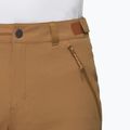 Mammut Runbold IV claystone Herren-Trekking-Shorts 4