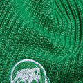 Wintermütze Mammut Sublime pine 2