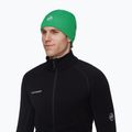 Wintermütze Mammut Sublime pine 3