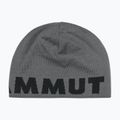Wintermütze Mammut Logo steel/black 2