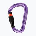 Karabiner Mammut Classic HMS Screwgate screw gate/alpine calamint