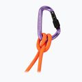 Karabiner Mammut Classic HMS Screwgate screw gate/alpine calamint 2