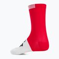 ASSOS GT C2 mondrot Radsocken 2